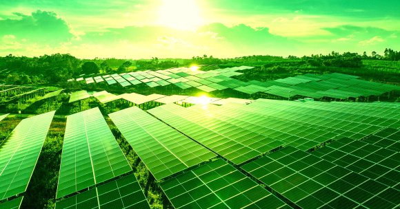 Solar panels in a field.