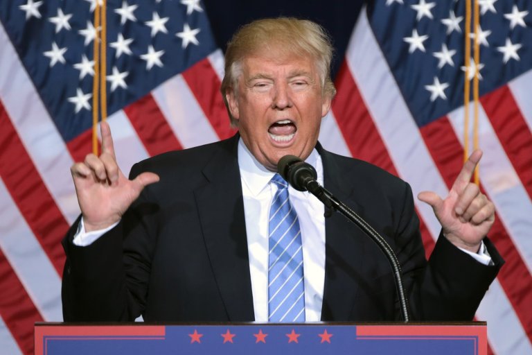 A photo shows Donald Trump at a rally.